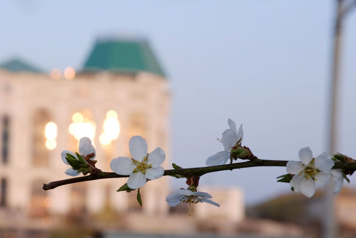 КаспийИнфо. Новости Астрахани и региона