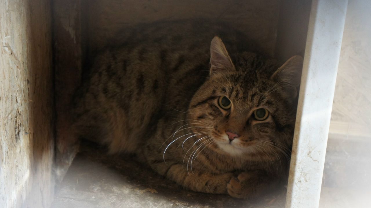 КаспийИнфо. Новости Астрахани и региона