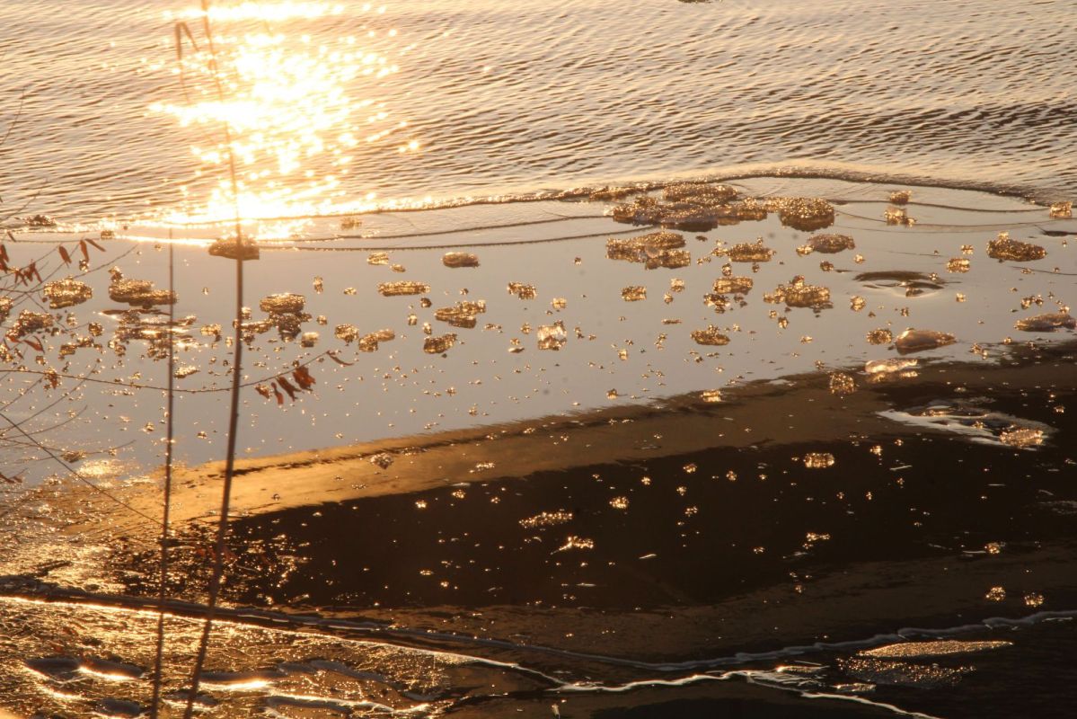 КаспийИнфо. Новости Астрахани и региона