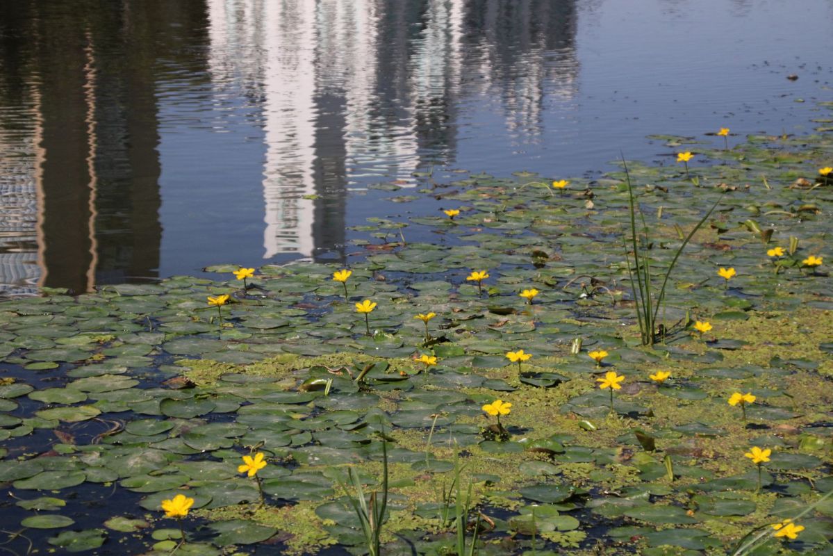 КаспийИнфо. Новости Астрахани и региона