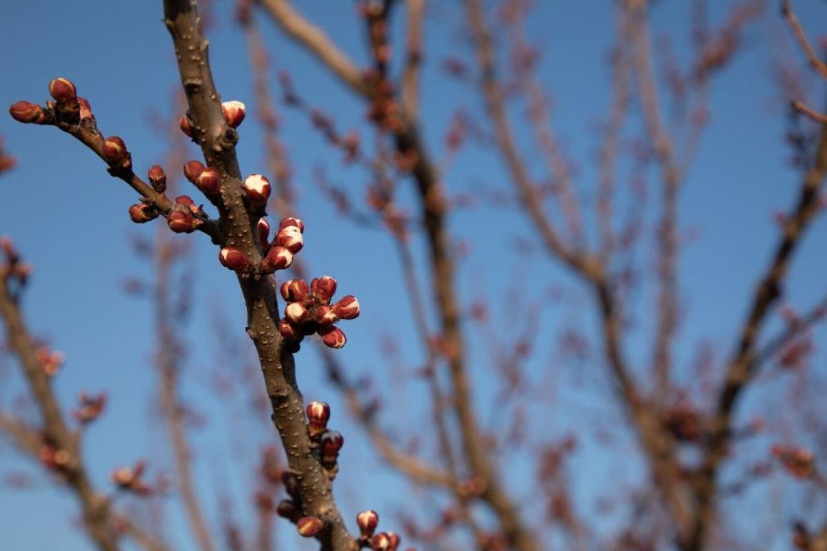 КаспийИнфо. Новости Астрахани и региона