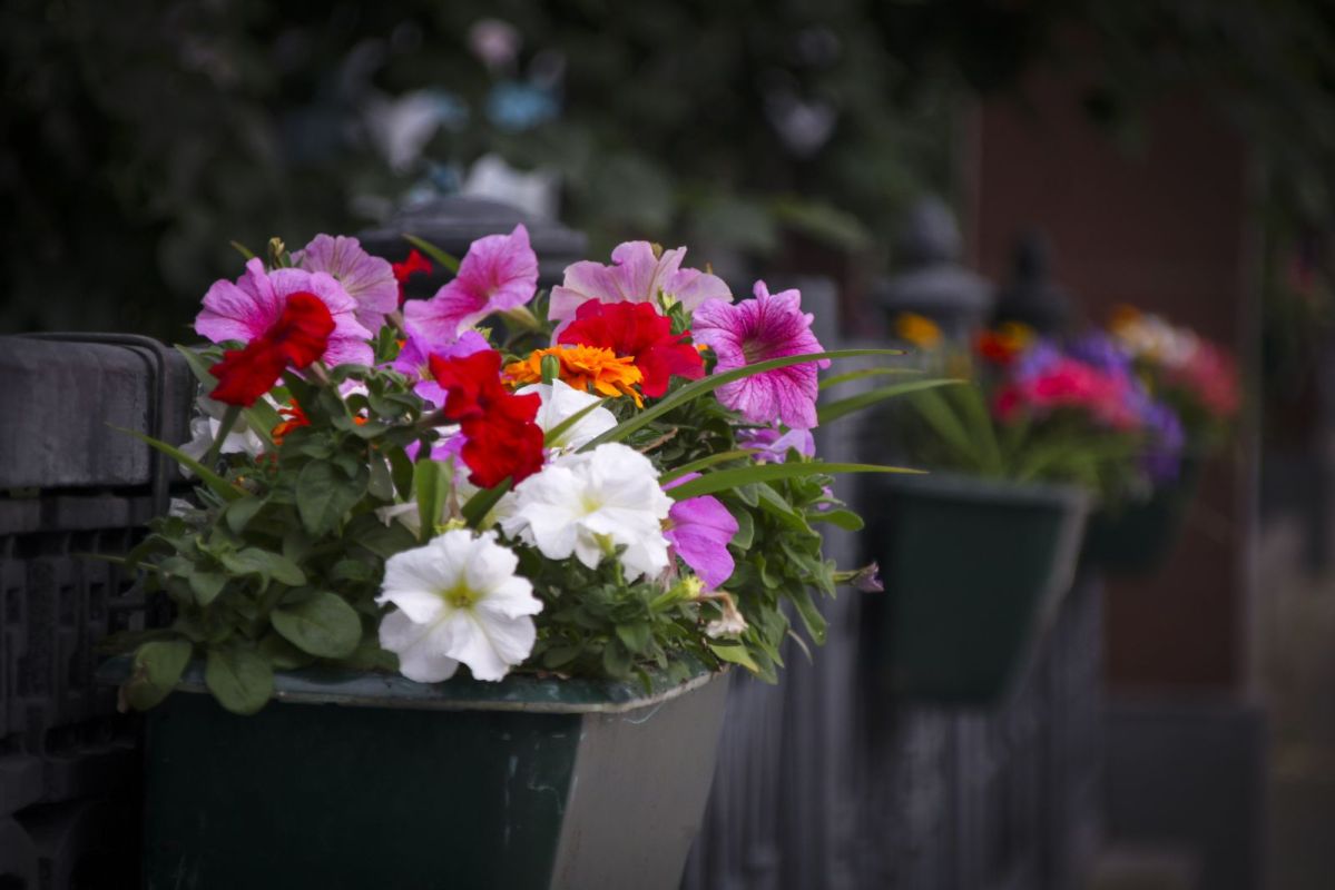 КаспийИнфо. Новости Астрахани и региона