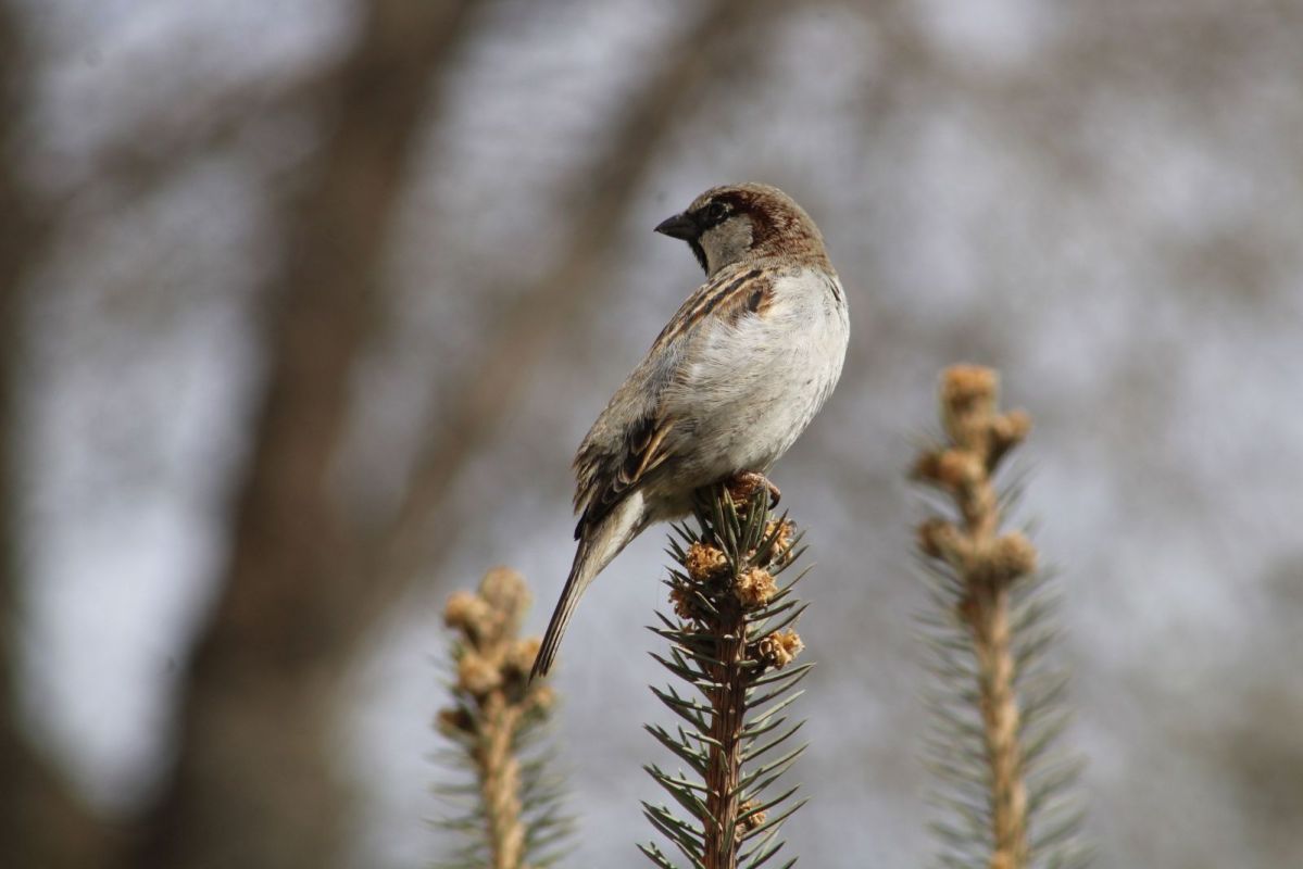 КаспийИнфо. Новости Астрахани и региона