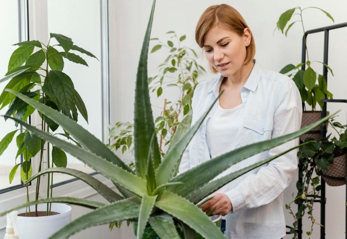 Фото © freepik.com