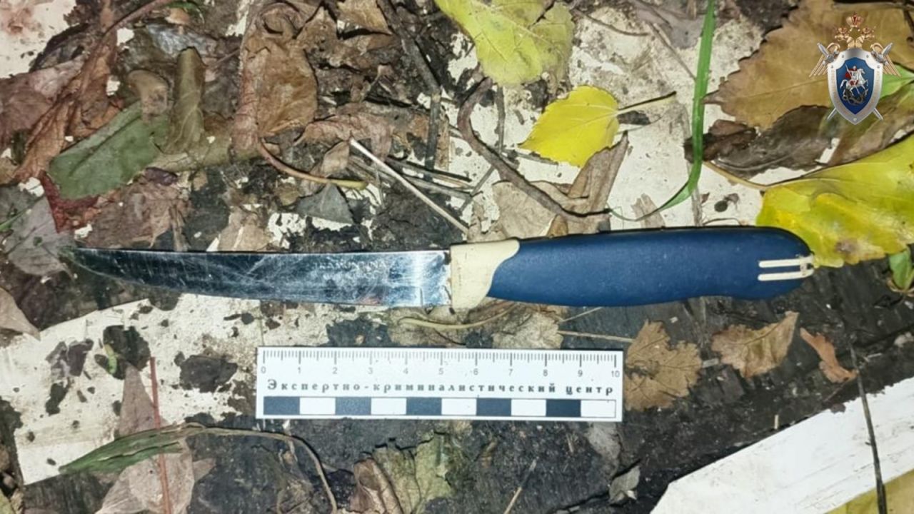 Орудие убийства