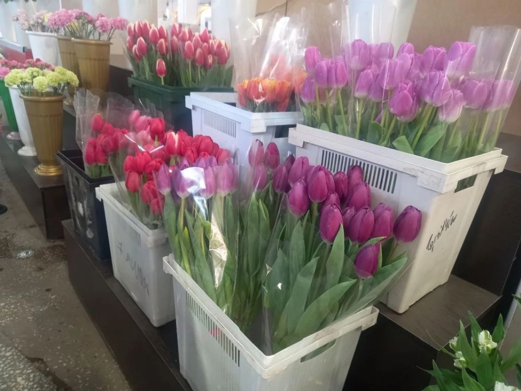 КаспийИнфо. Новости Астрахани и региона