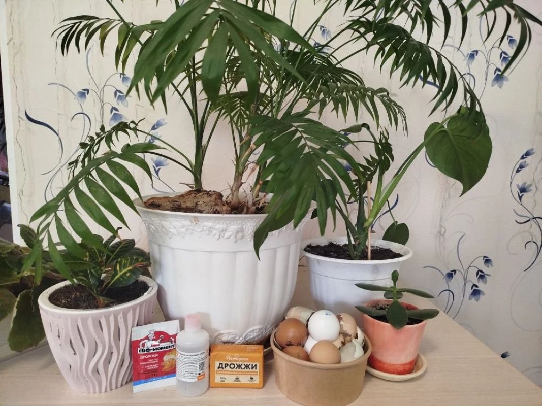 КаспийИнфо. Новости Астрахани и региона