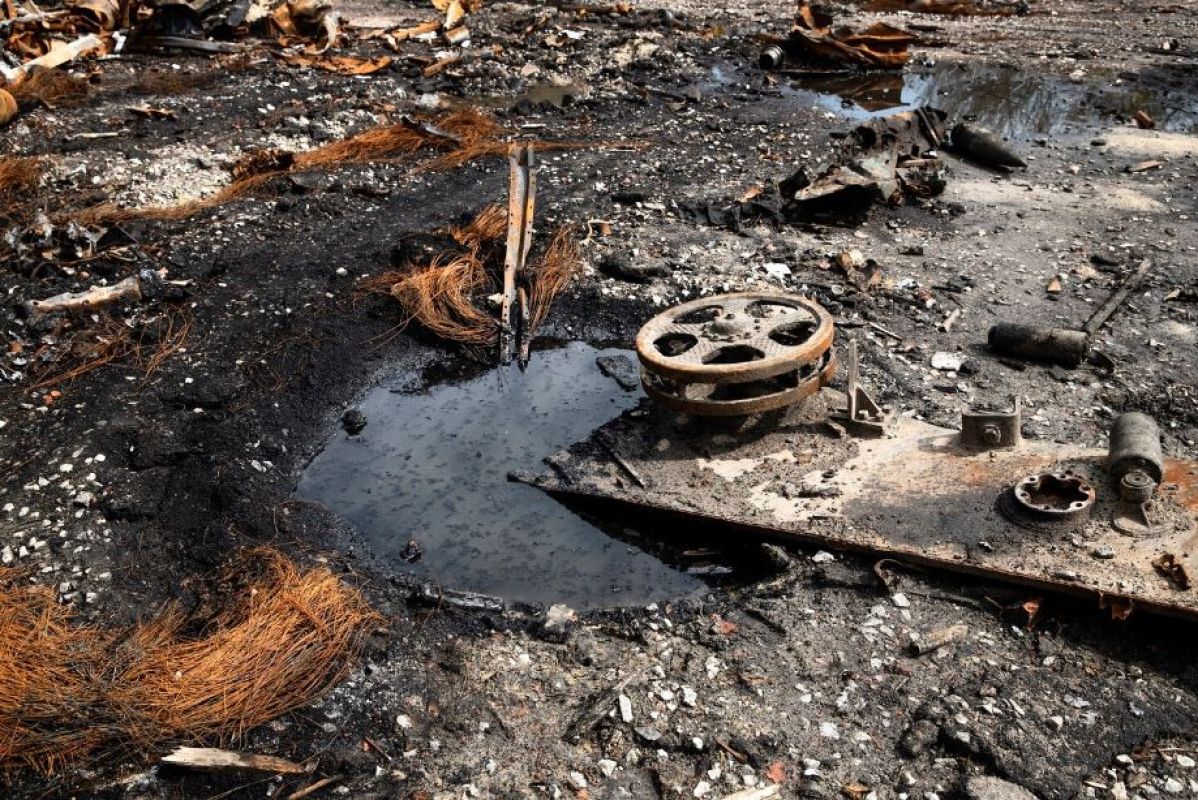 Фото © freepik.com