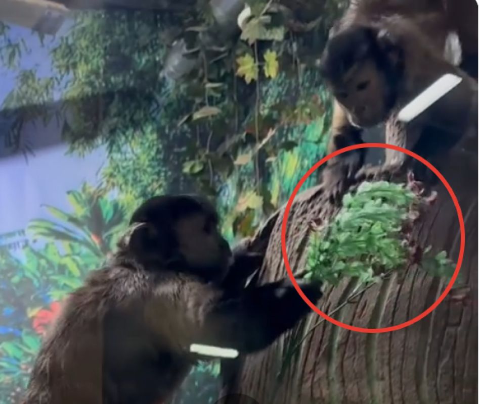 КаспийИнфо. Новости Астрахани и региона