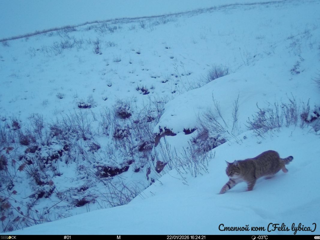 КаспийИнфо. Новости Астрахани и региона