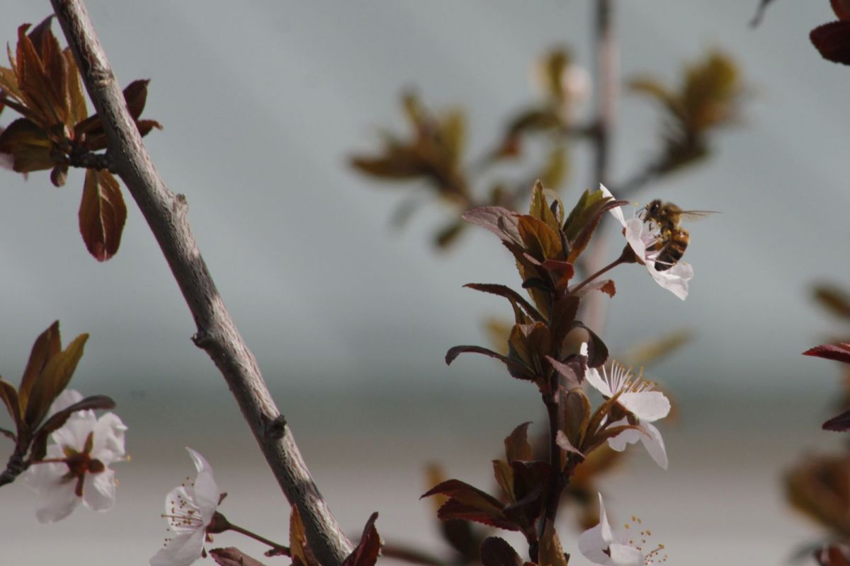 КаспийИнфо. Новости Астрахани и региона