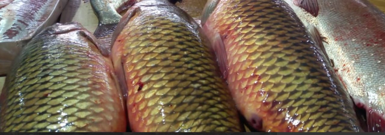 КаспийИнфо. Новости Астрахани и региона