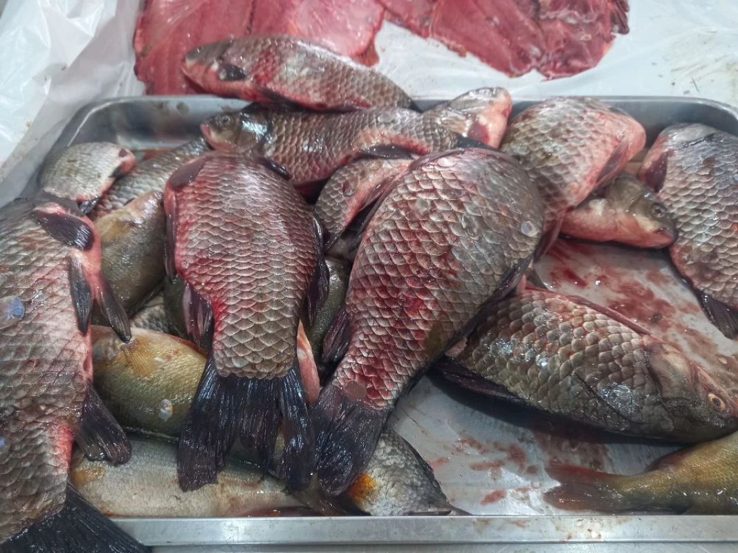 КаспийИнфо. Новости Астрахани и региона