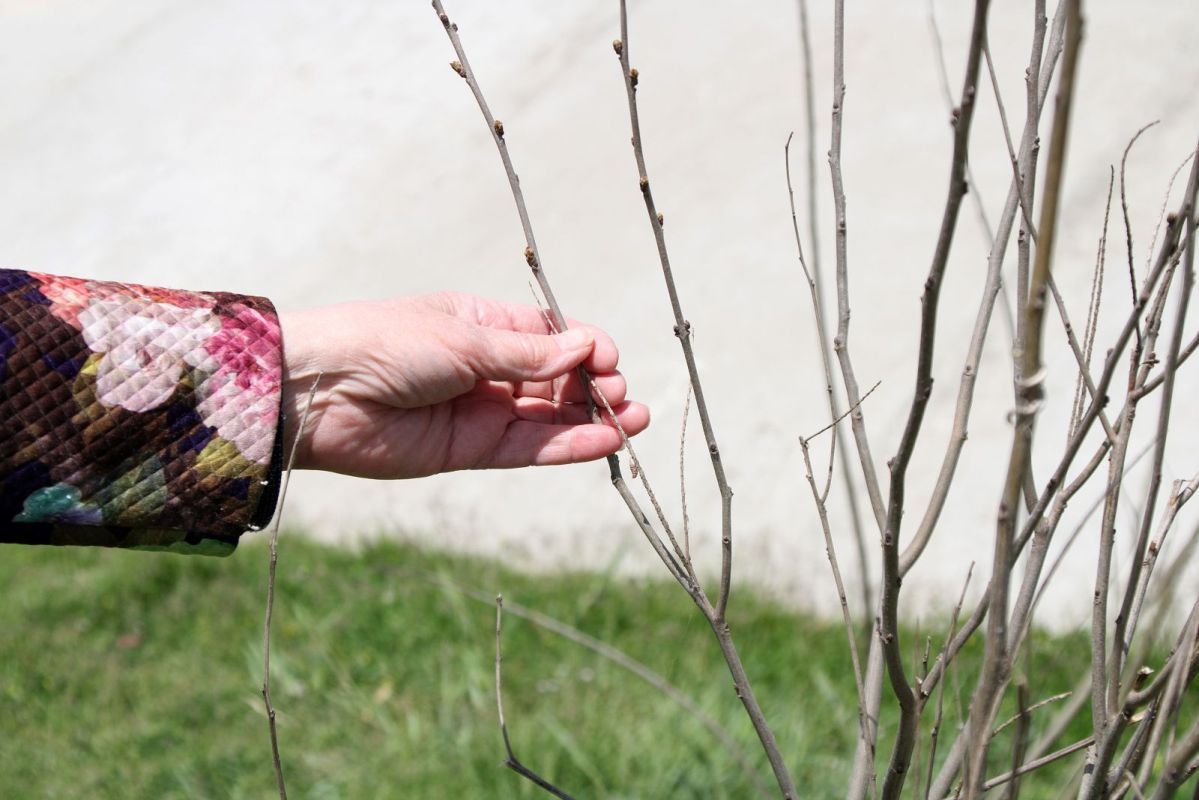 КаспийИнфо. Новости Астрахани и региона