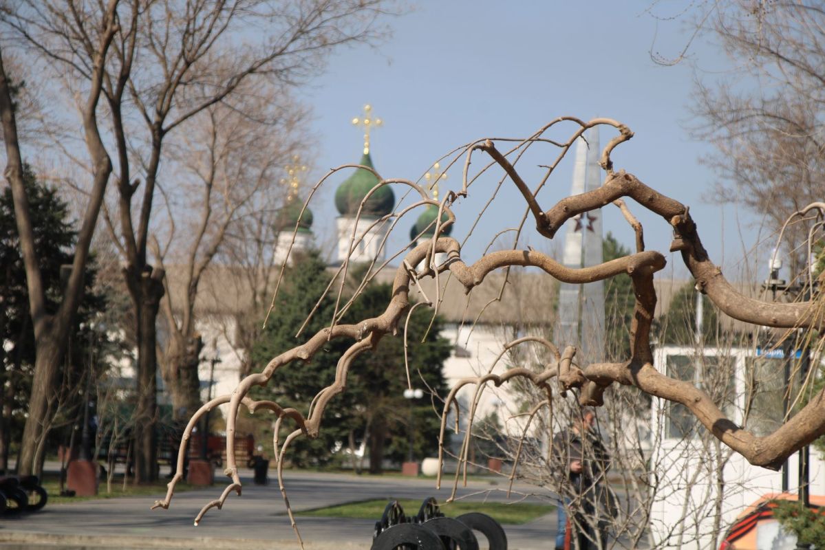 КаспийИнфо. Новости Астрахани и региона