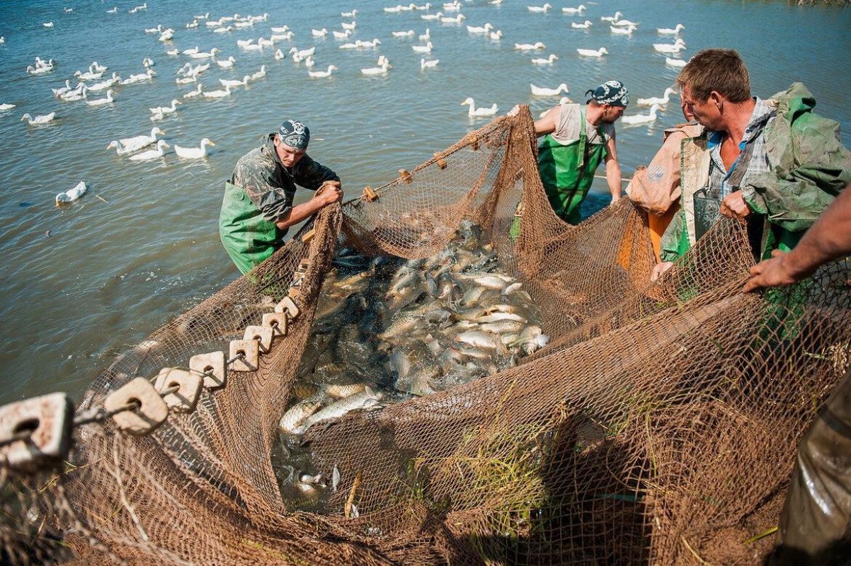 КаспийИнфо. Новости Астрахани и региона