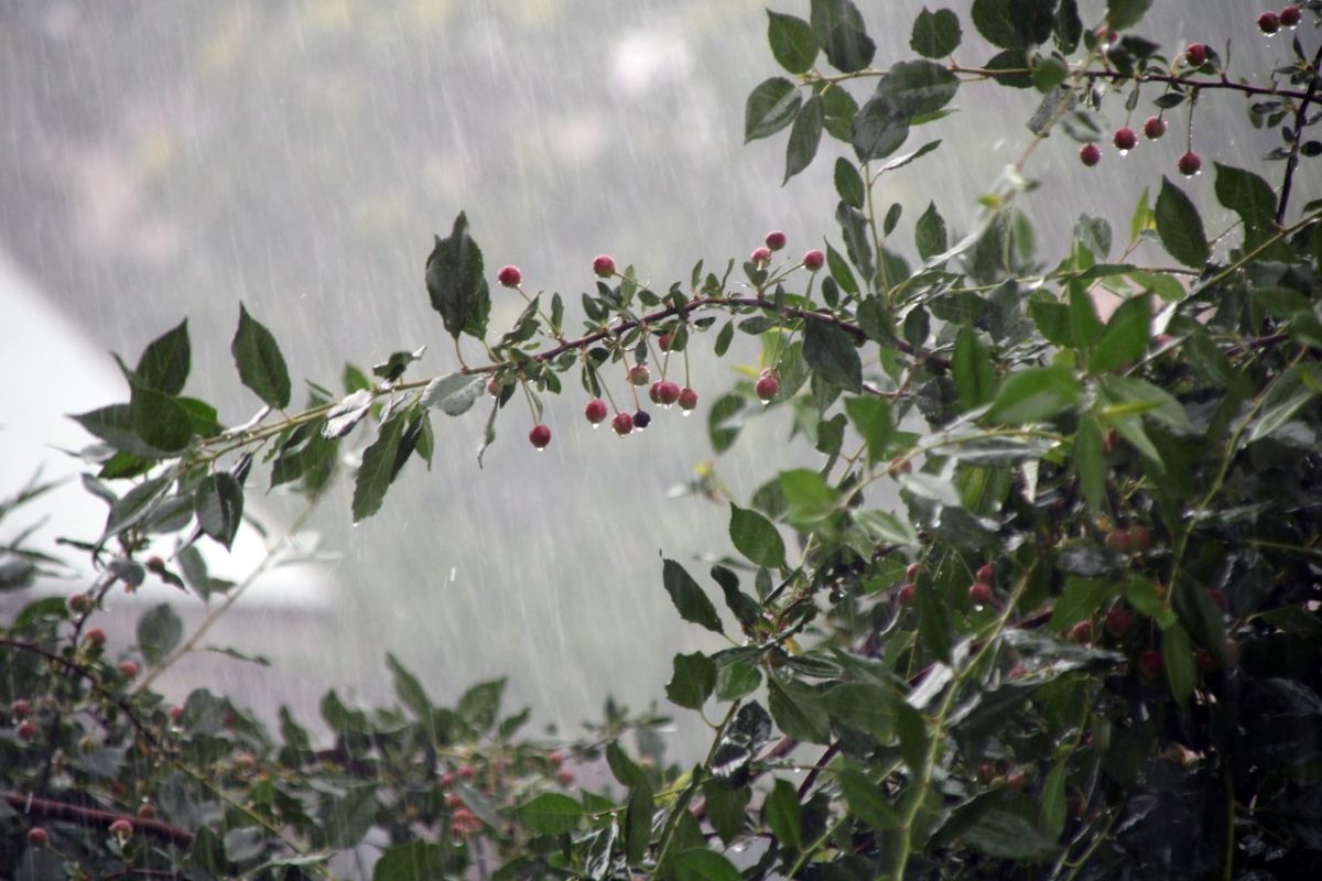 КаспийИнфо. Новости Астрахани и региона