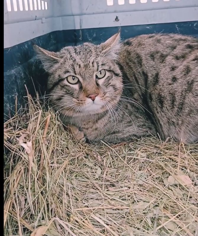 КаспийИнфо. Новости Астрахани и региона