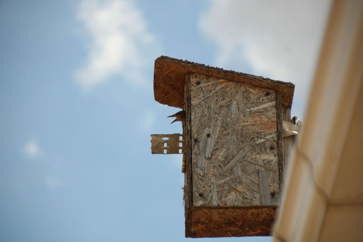 КаспийИнфо. Новости Астрахани и региона