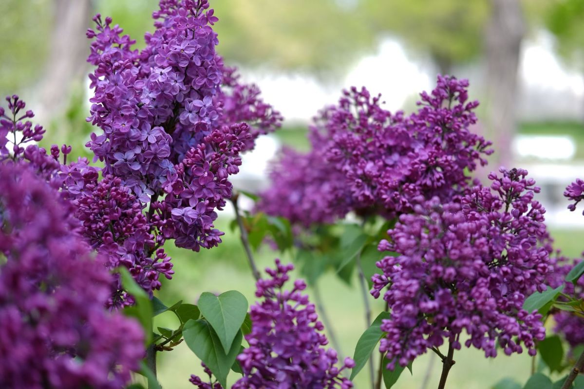 КаспийИнфо. Новости Астрахани и региона