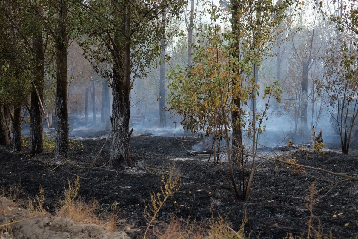 КаспийИнфо. Новости Астрахани и региона