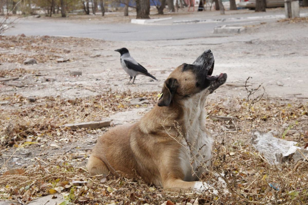 КаспийИнфо. Новости Астрахани и региона