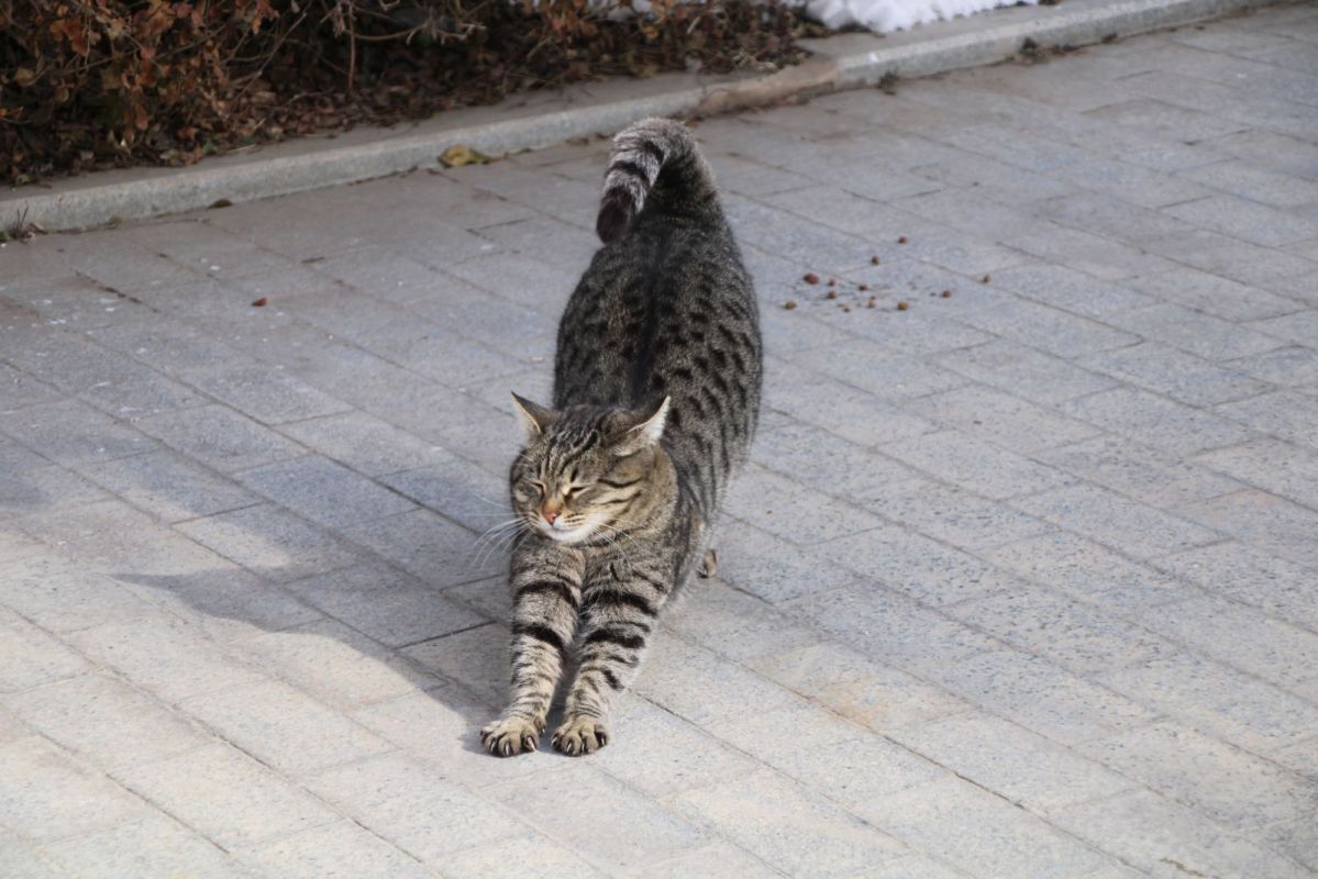 КаспийИнфо. Новости Астрахани и региона