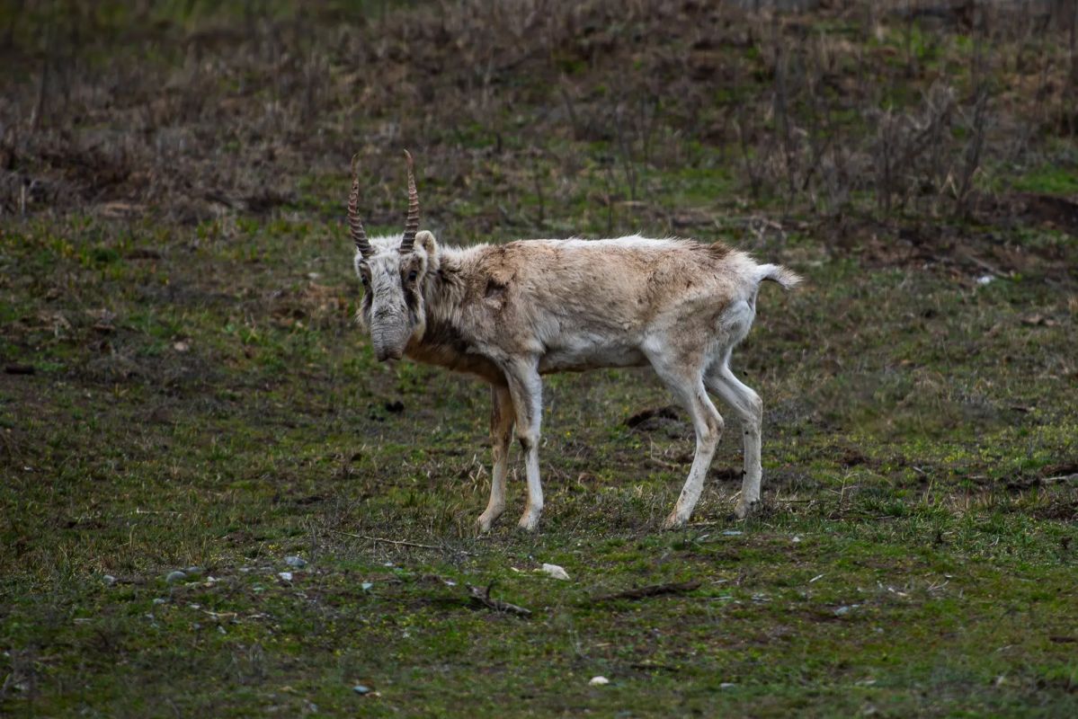 КаспийИнфо. Новости Астрахани и региона