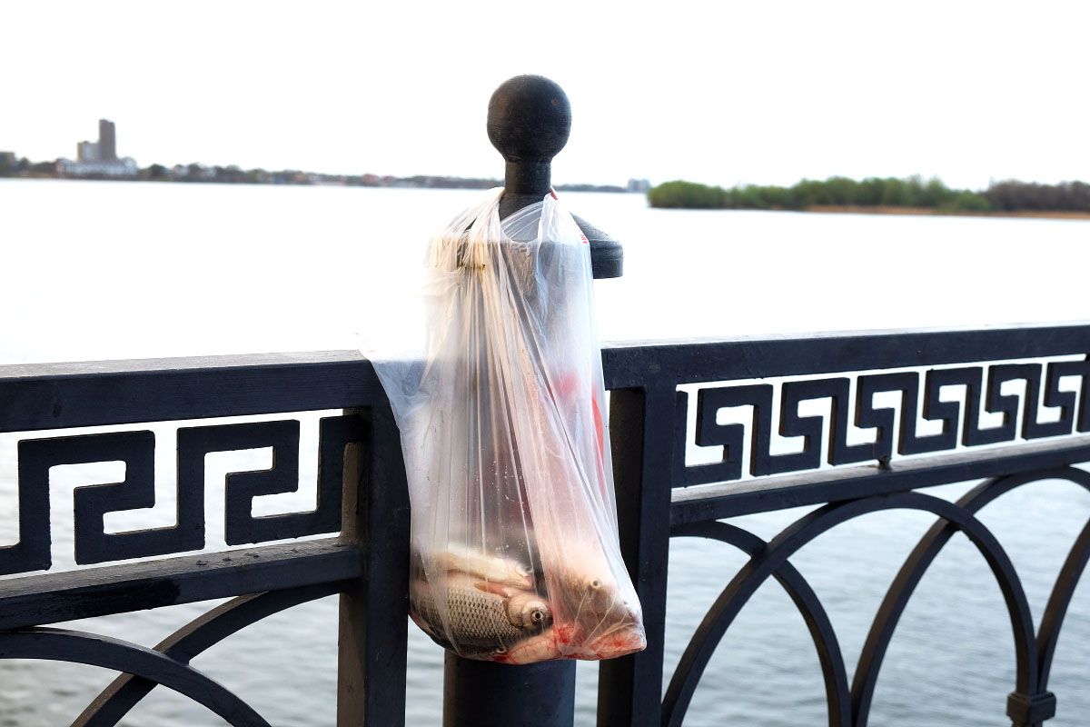 КаспийИнфо. Новости Астрахани и региона