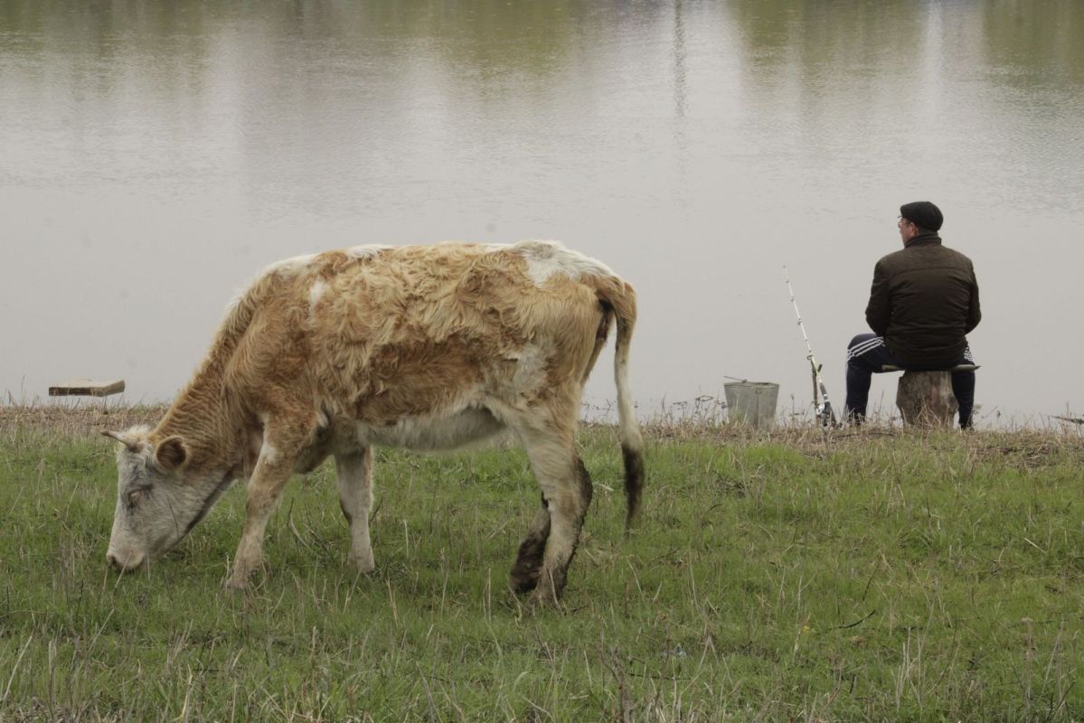 КаспийИнфо. Новости Астрахани и региона