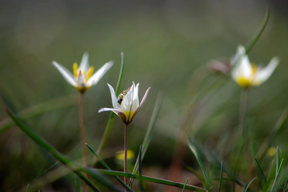 КаспийИнфо. Новости Астрахани и региона