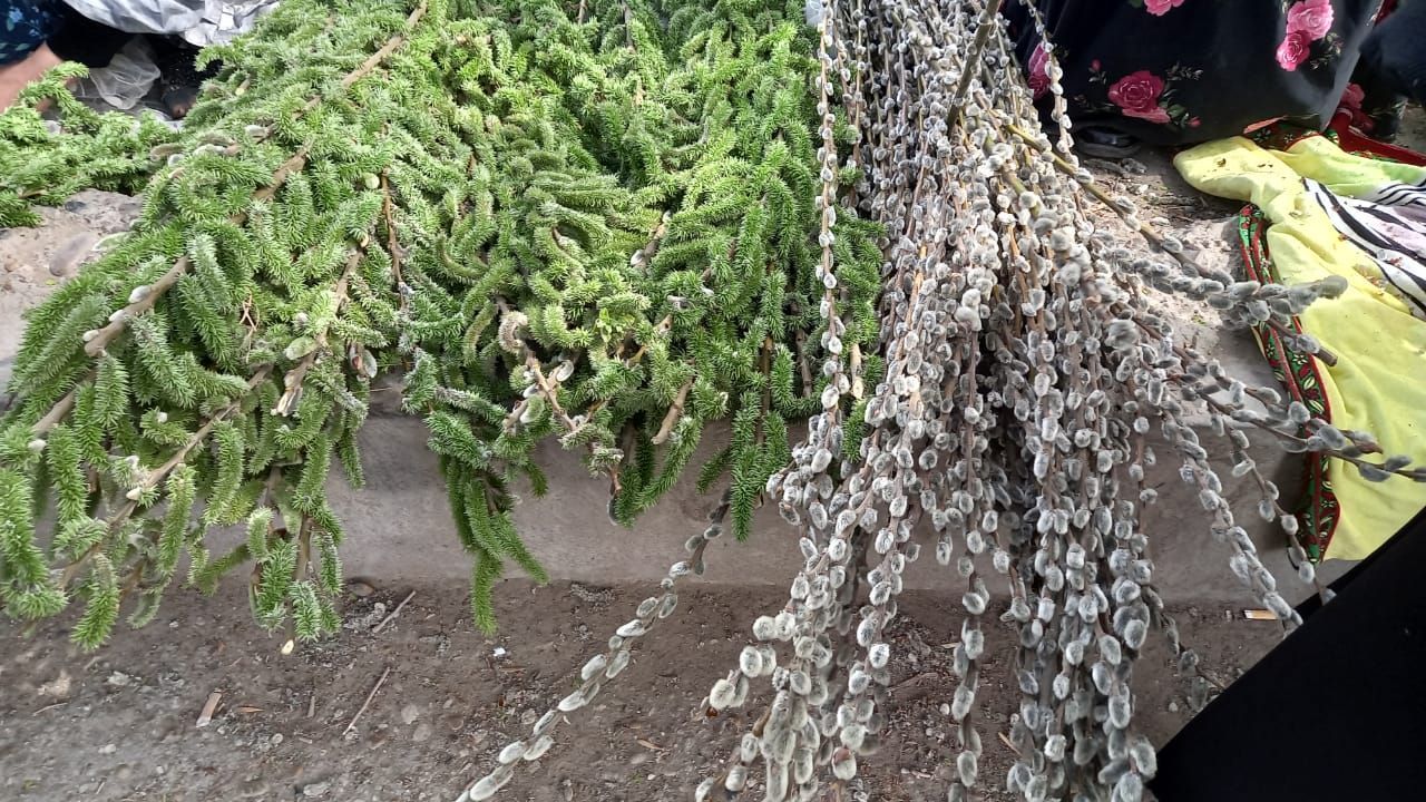 КаспийИнфо. Новости Астрахани и региона