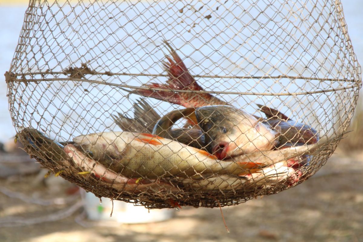 КаспийИнфо. Новости Астрахани и региона