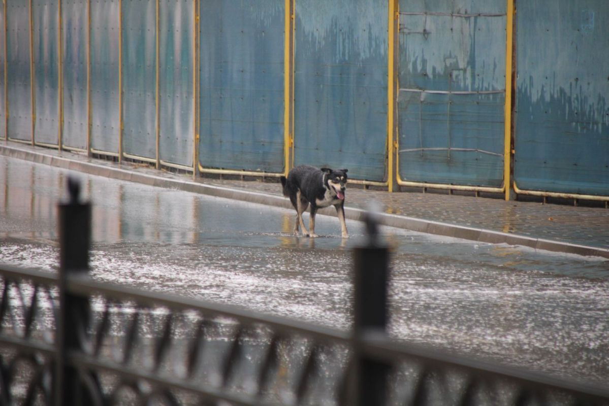 КаспийИнфо. Новости Астрахани и региона