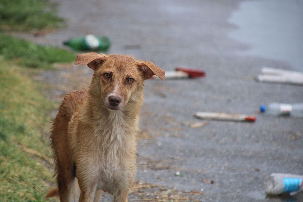 КаспийИнфо. Новости Астрахани и региона