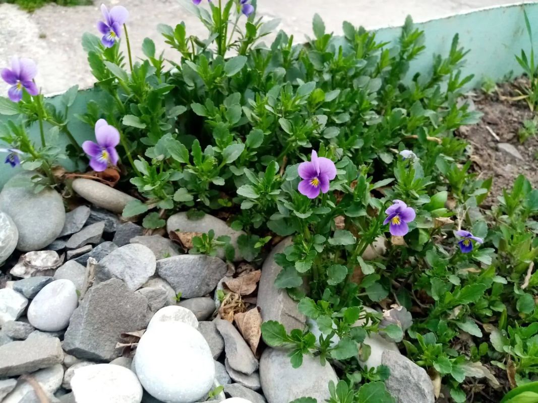 КаспийИнфо. Новости Астрахани и региона