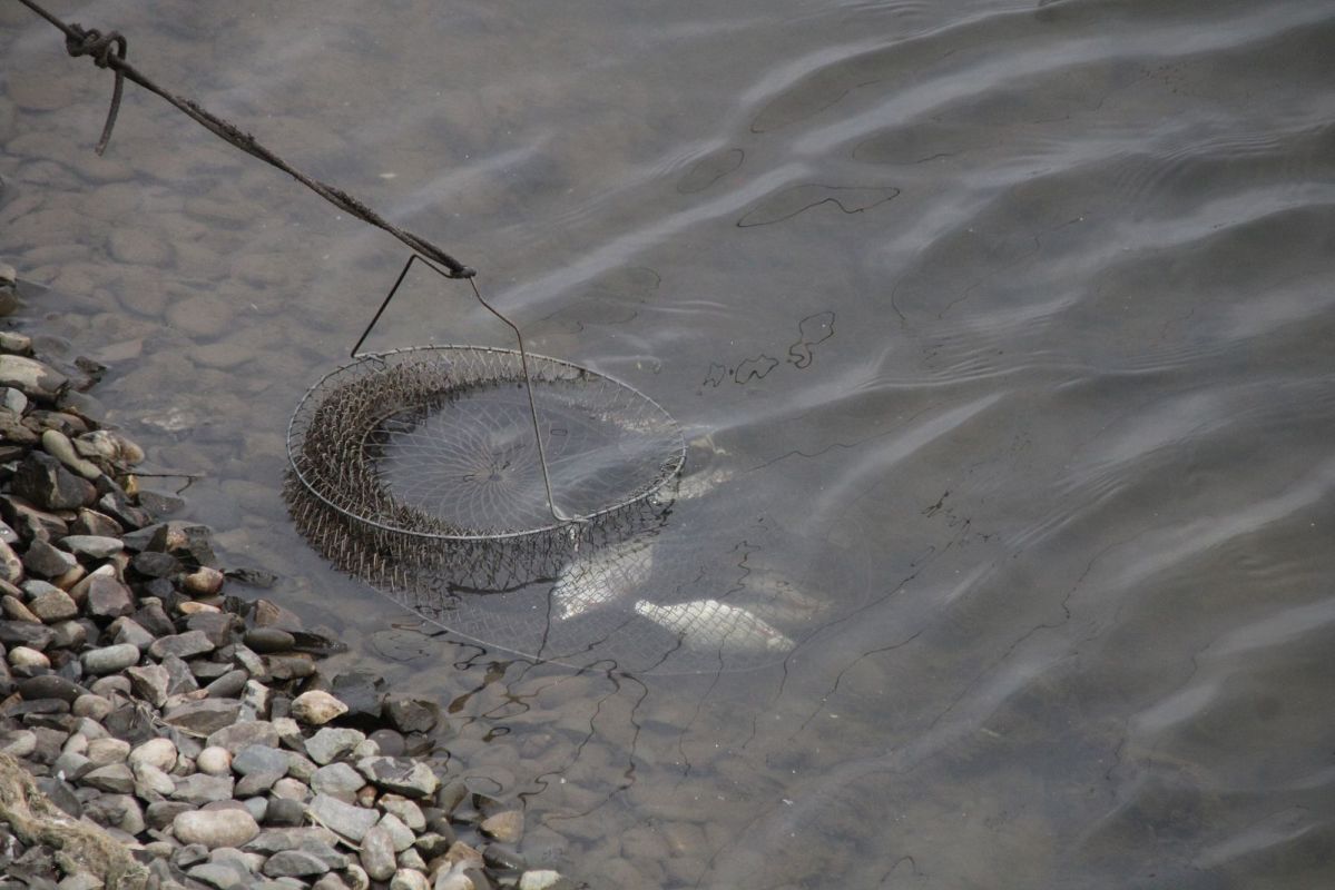 КаспийИнфо. Новости Астрахани и региона