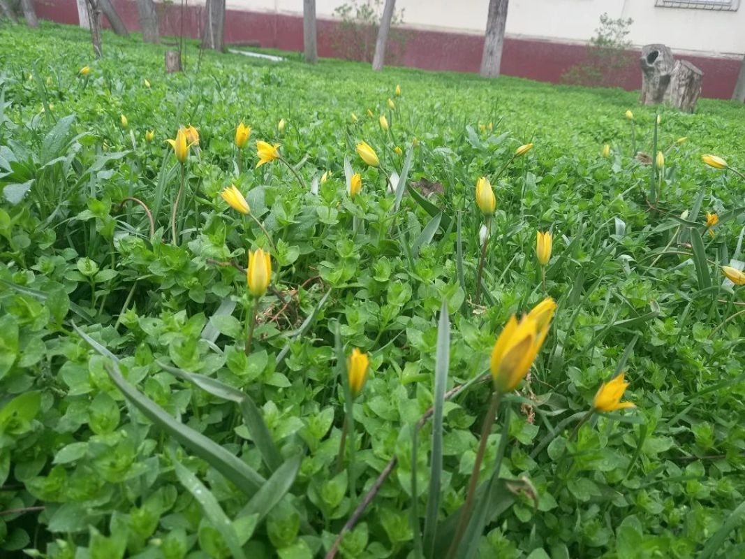 КаспийИнфо. Новости Астрахани и региона