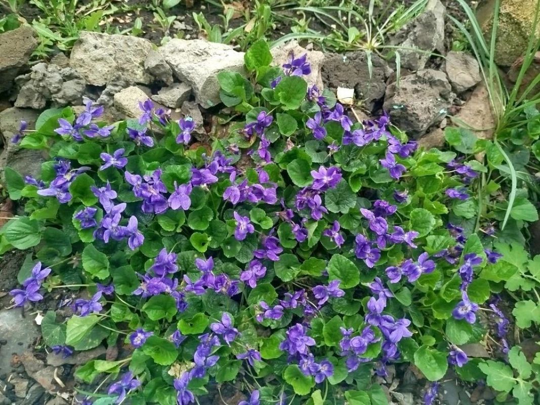 КаспийИнфо. Новости Астрахани и региона