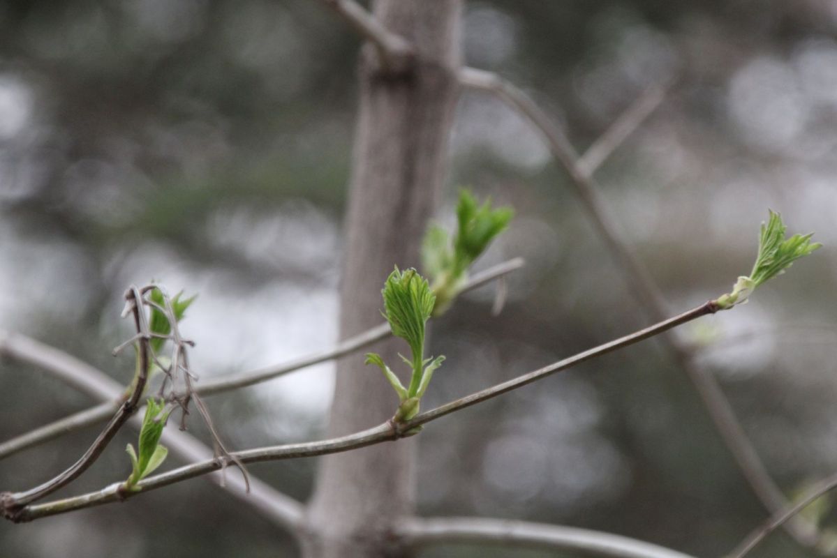 КаспийИнфо. Новости Астрахани и региона