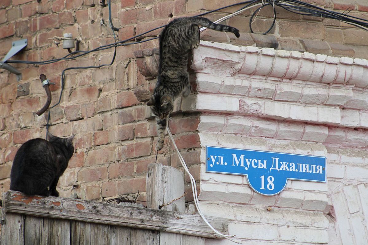 КаспийИнфо. Новости Астрахани и региона