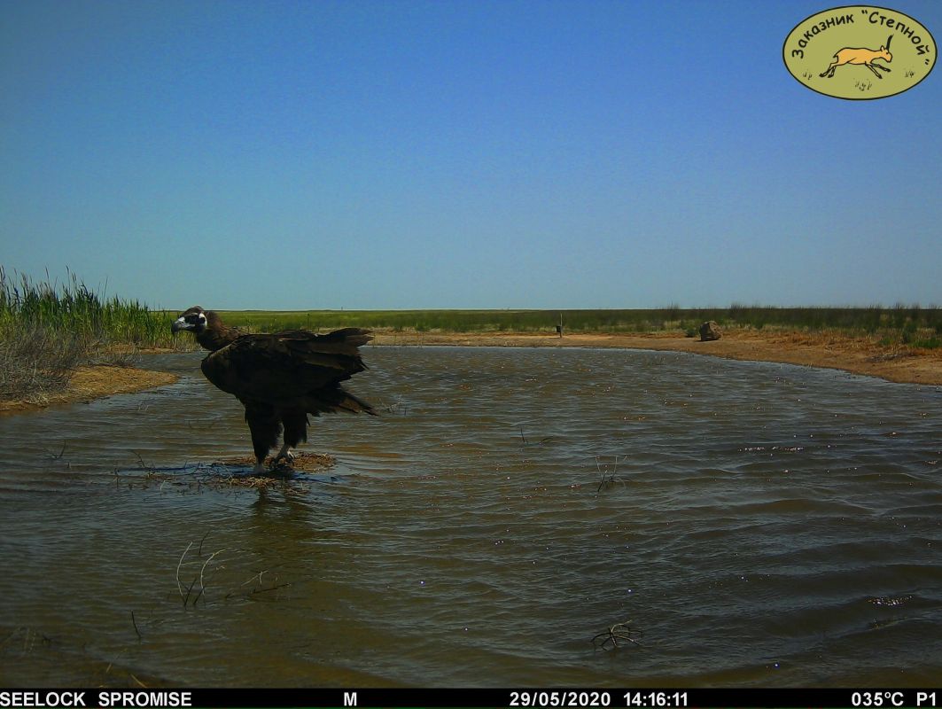 КаспийИнфо. Новости Астрахани и региона