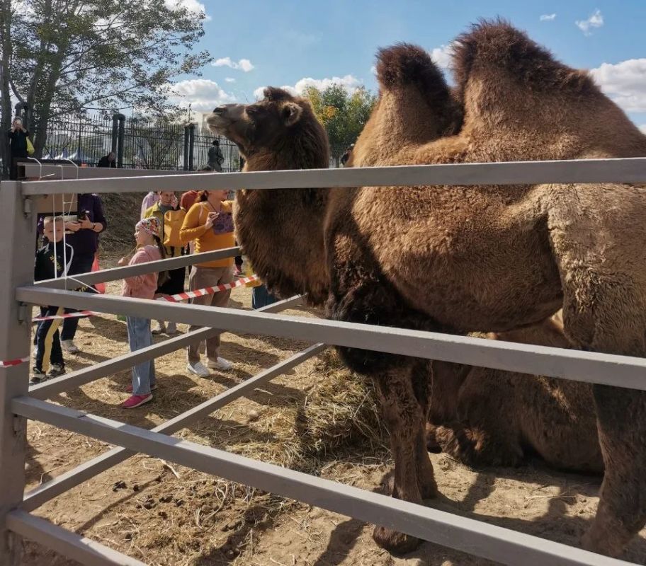 КаспийИнфо. Новости Астрахани и региона