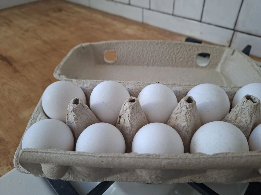 КаспийИнфо. Новости Астрахани и региона