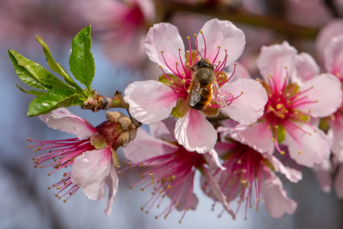 КаспийИнфо. Новости Астрахани и региона
