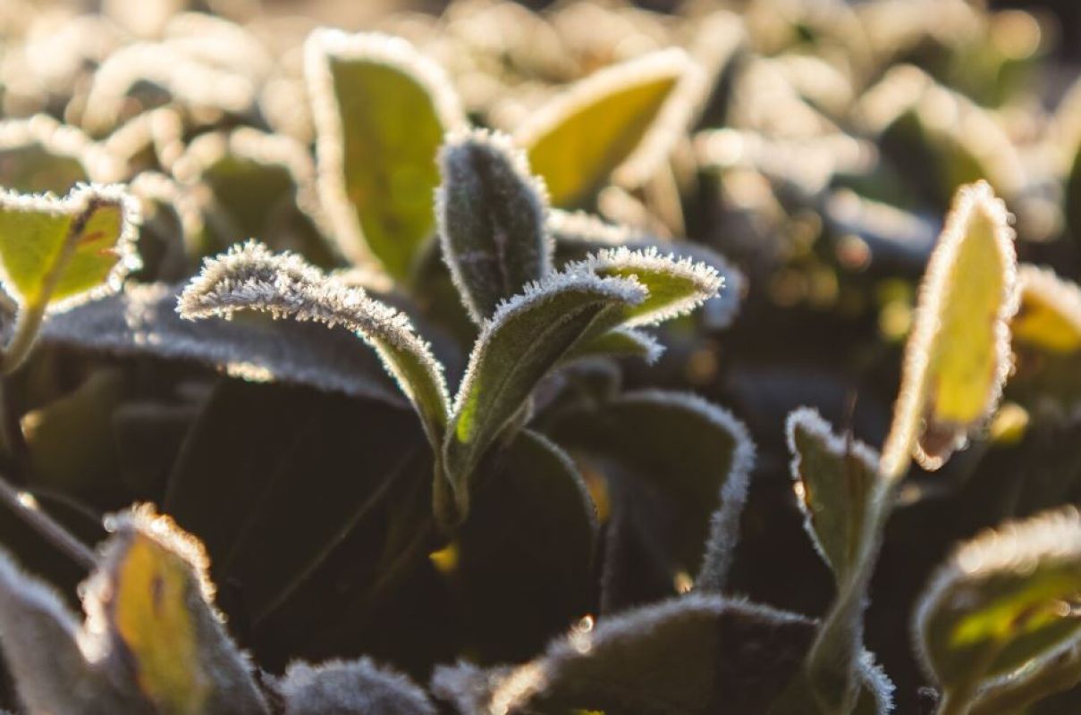 Фото © freepik.com