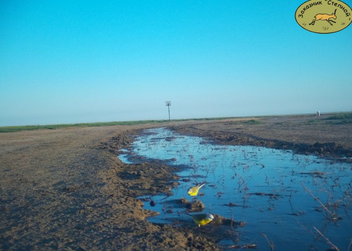 КаспийИнфо. Новости Астрахани и региона