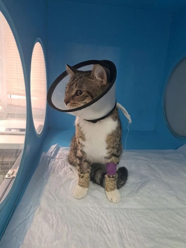 КаспийИнфо. Новости Астрахани и региона