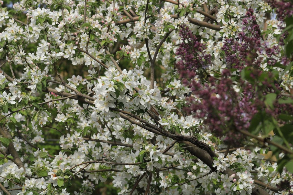 КаспийИнфо. Новости Астрахани и региона