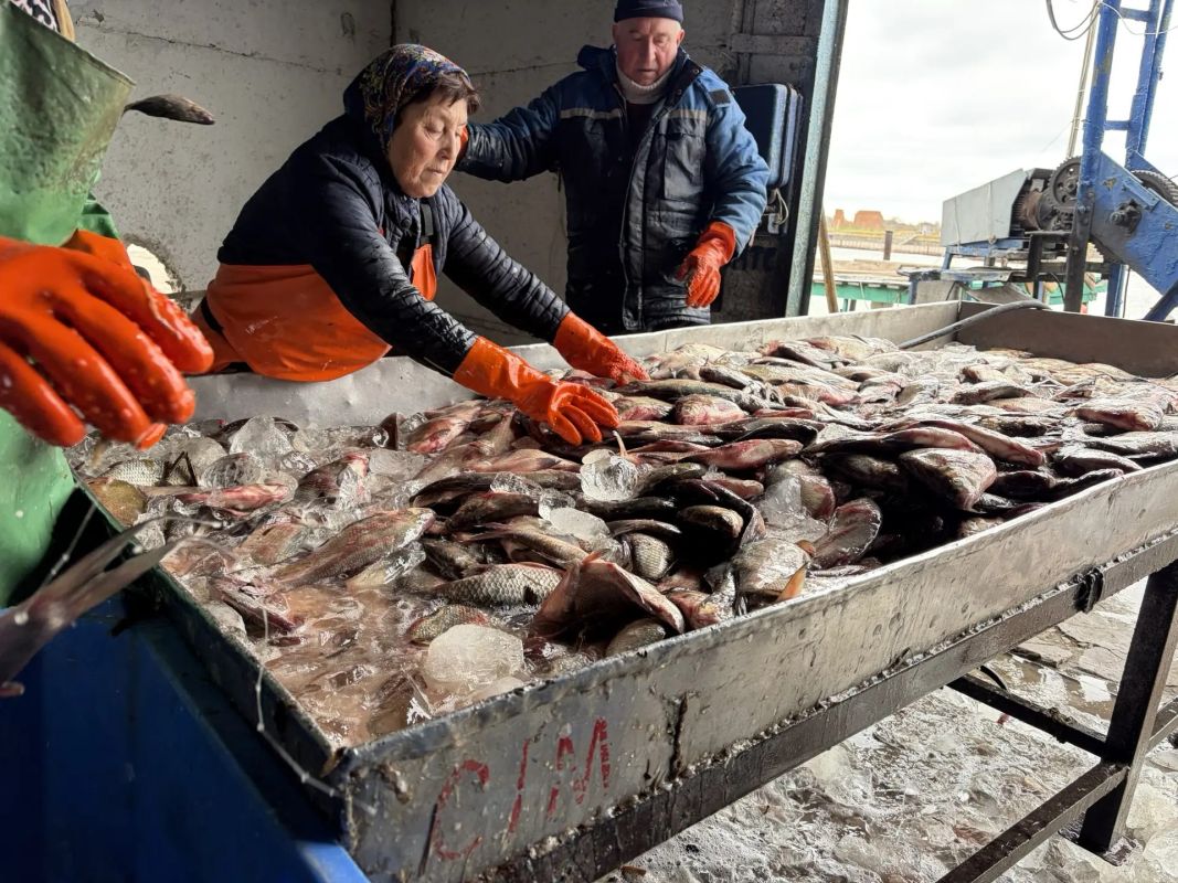 КаспийИнфо. Новости Астрахани и региона